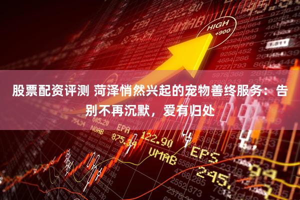 股票配资评测 菏泽悄然兴起的宠物善终服务:告别不再沉默,爱有归处